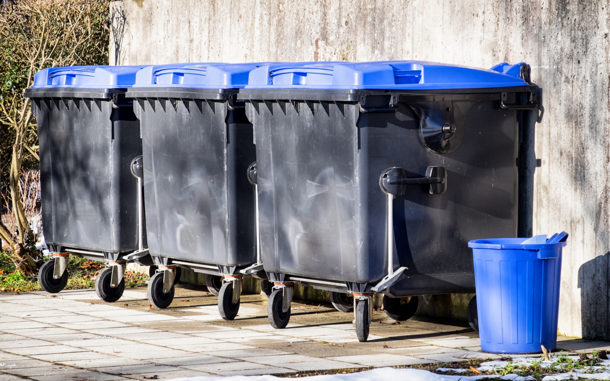 commercialwheeliebinshero Freshbins Residential & Commercial